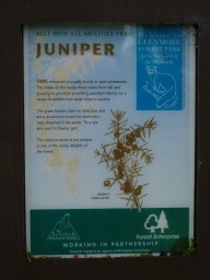 Image on trail